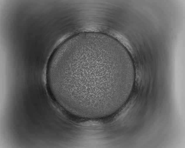 X0000095950578200801251132