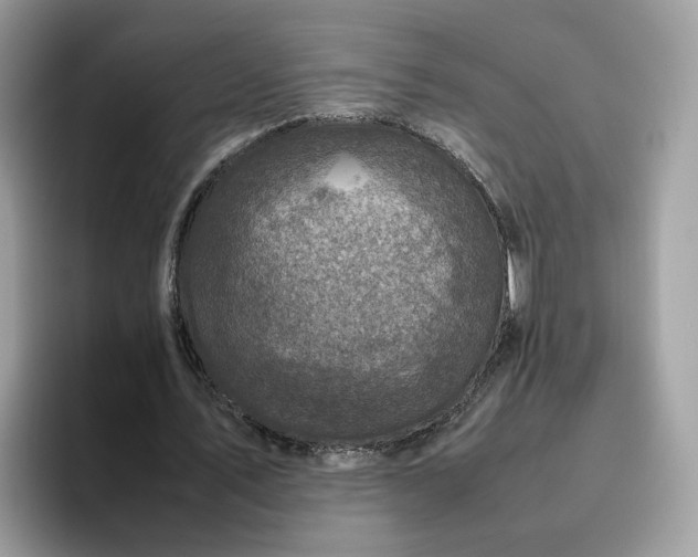 X0000095950579200801251132