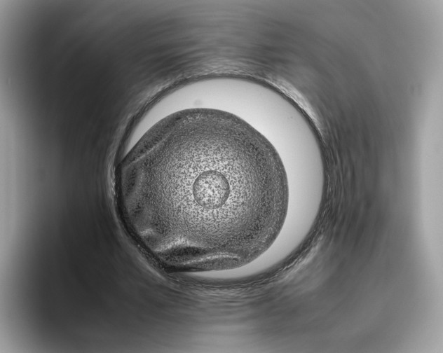 X0000095950581200801251132