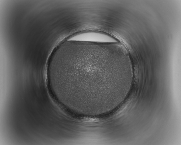 X0000095950582200801251132