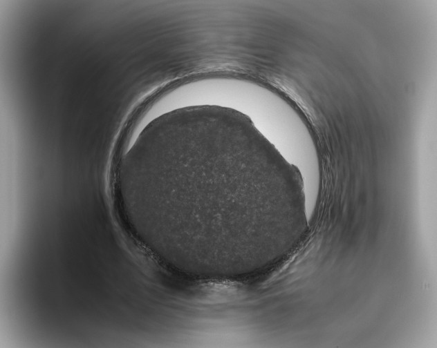 X0000095950583200801251132