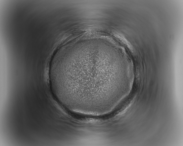 X0000095950585200801251132