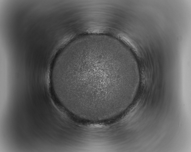 X0000095950586200801251132