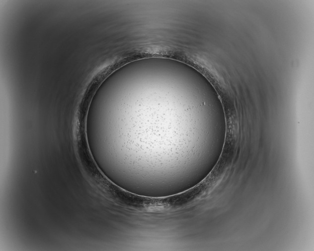 X0000095950587200801251132