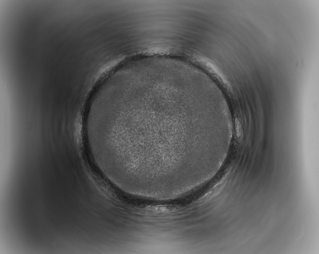 X0000095950588200801251132