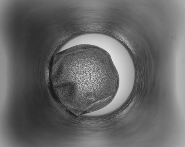 X0000095950589200801251132