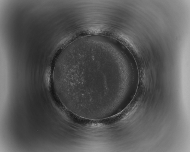 X0000095950590200801251132