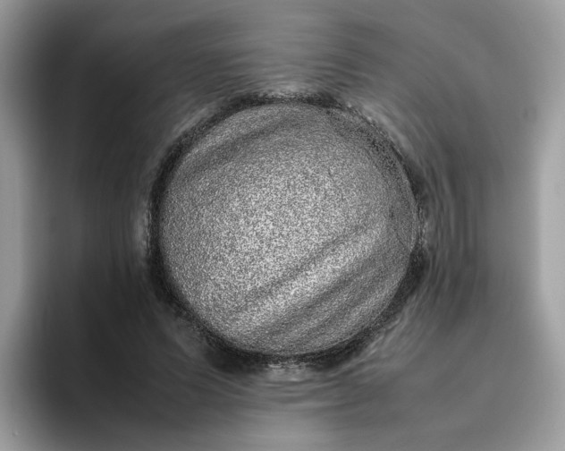 X0000095950591200801251131