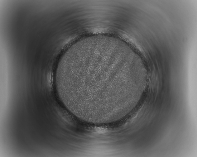 X0000095950592200801251131