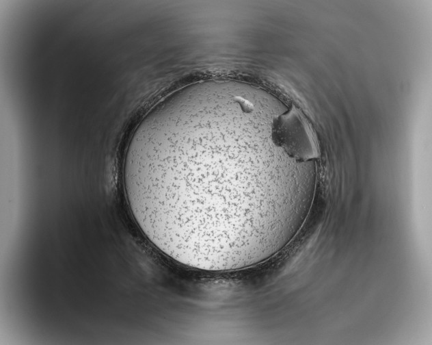 X0000095950593200801251131