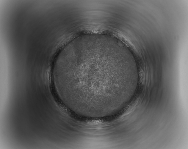 X0000095950594200801251131