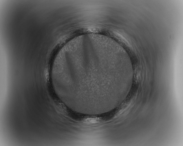 X0000095950595200801251131