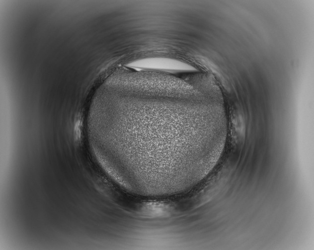 X0000095950596200801251131