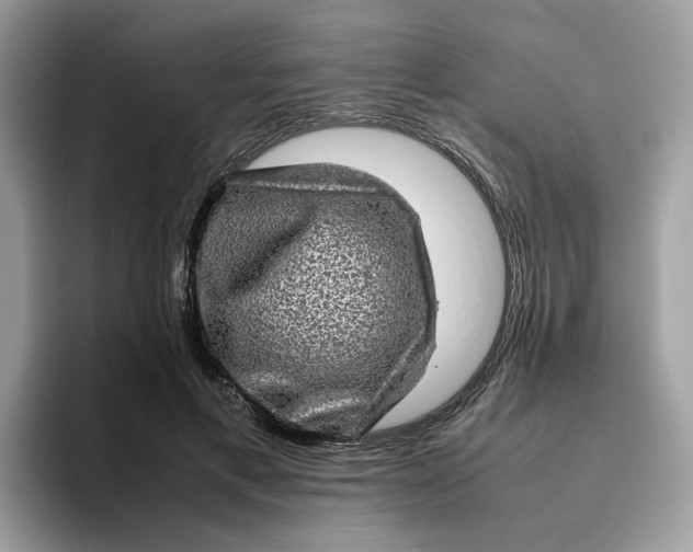 X0000095950597200801251131