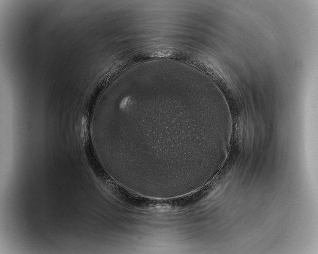 X0000095950598200801251131