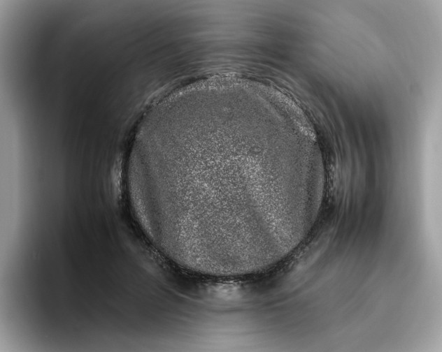 X0000095950600200801251131