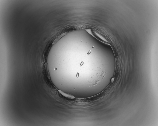 X0000095950601200801251131