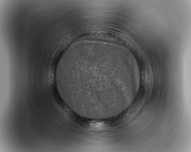 X0000095950602200801251131