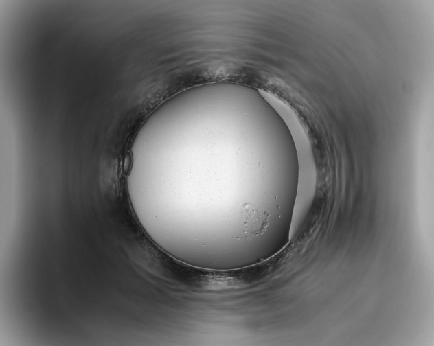 X0000095950605200801251131