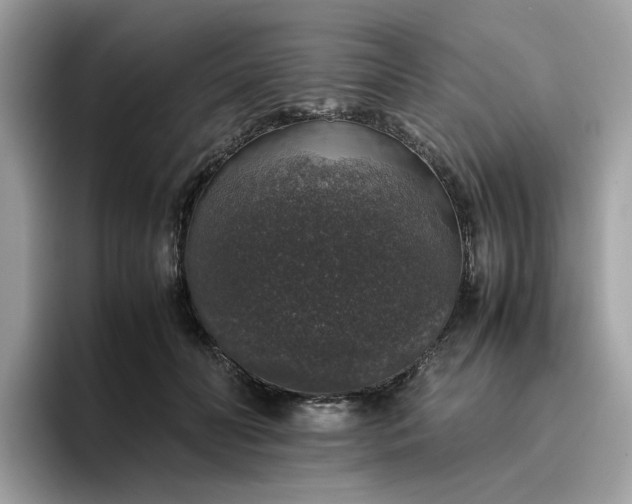 X0000095950606200801251131