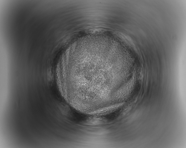 X0000095950607200801251131