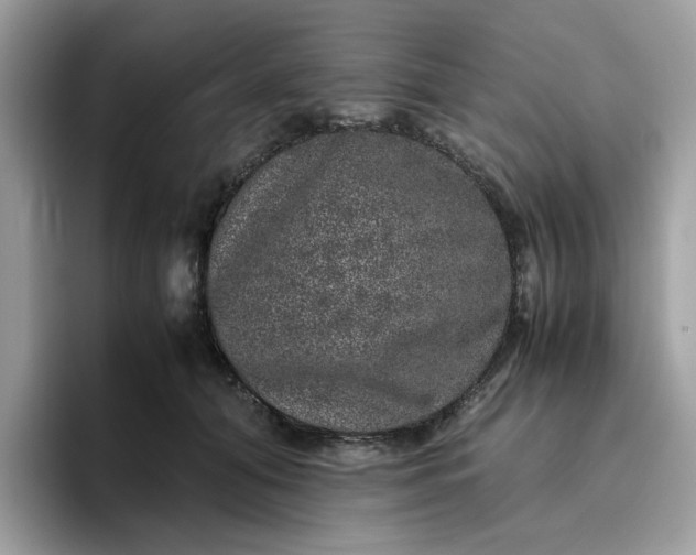 X0000095950608200801251131