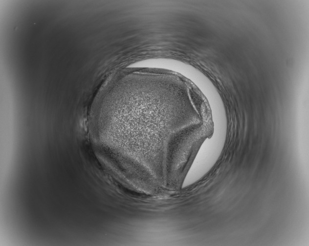 X0000095950609200801251131