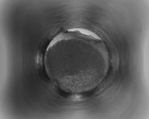 X0000095950610200801251131