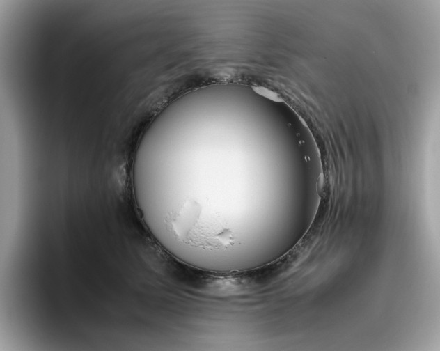 X0000095950611200801251131