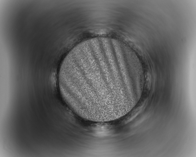 X0000095950612200801251131