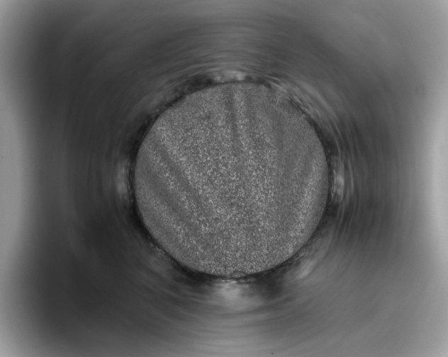 X0000095950616200801251131