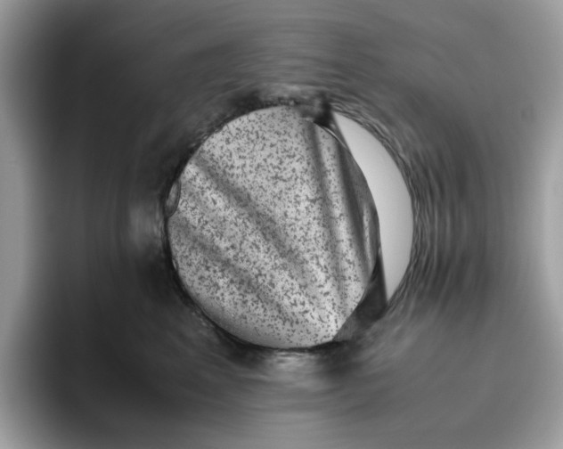 X0000095950617200801251131