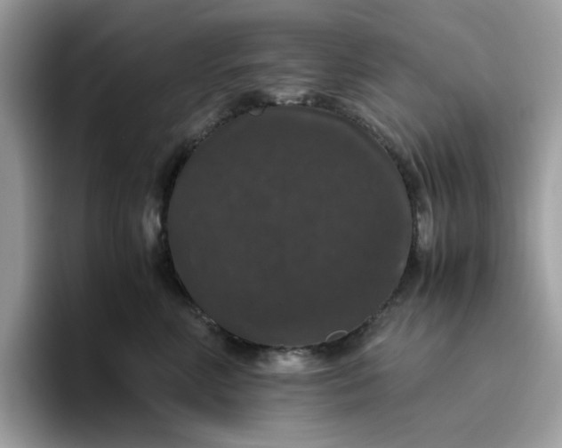 X0000095950618200801251131