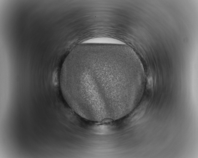 X0000095950620200801251131