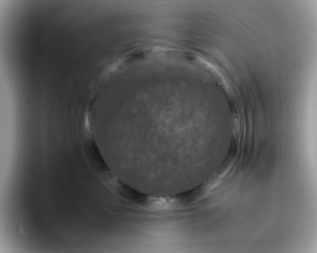 X0000095950621200801251131