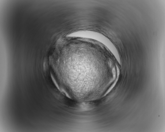 X0000095950623200801251131