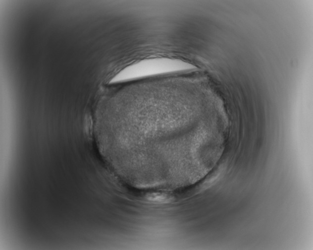 X0000095950624200801251131