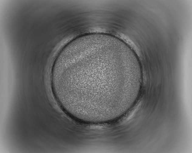 X0000095950625200801251130