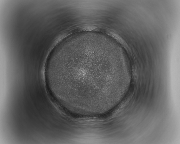 X0000095950626200801251130