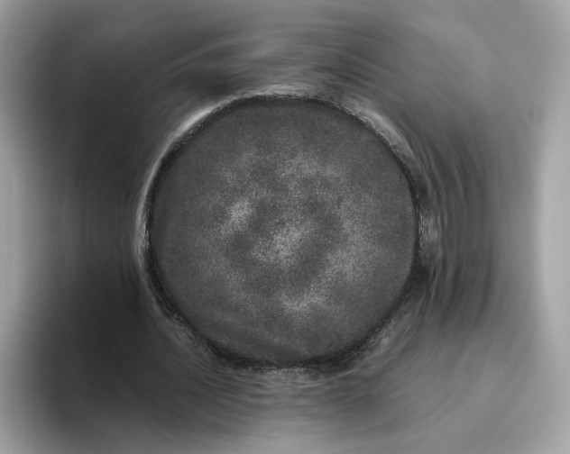 X0000095950628200801251130