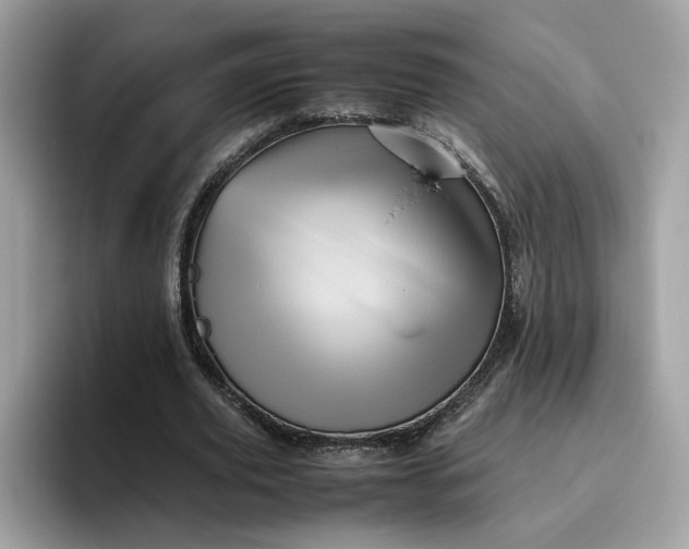 X0000095950629200801251130