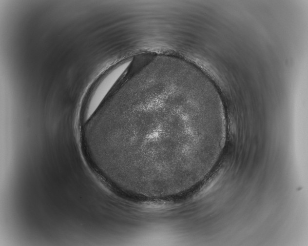 X0000095950630200801251130