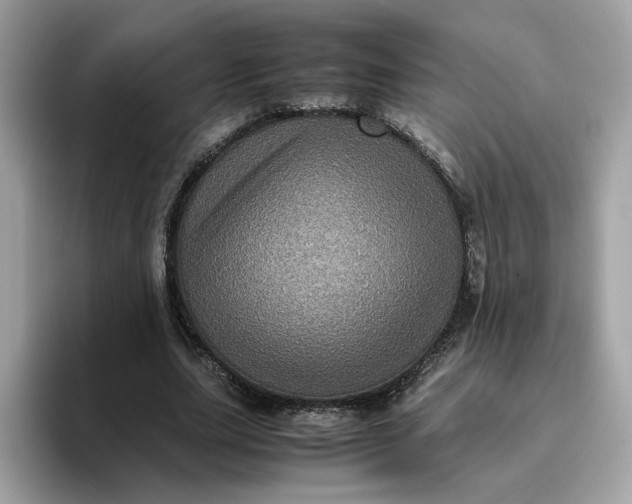 X0000095950631200801251131