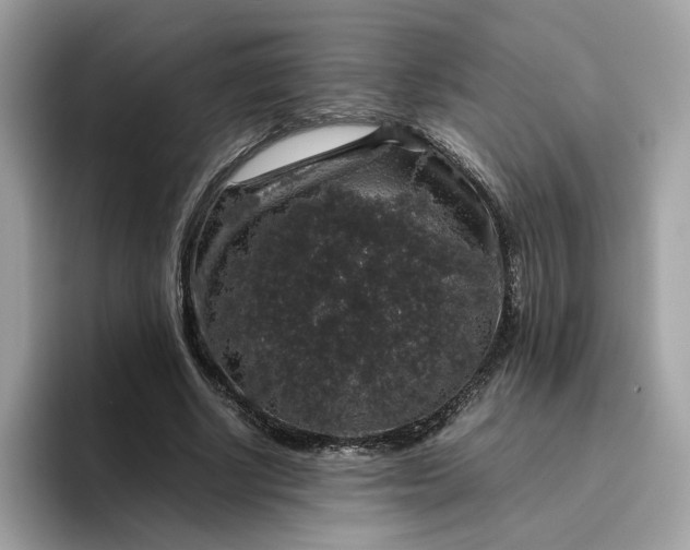 X0000095950634200801251131