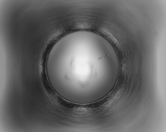 X0000095950635200801251131