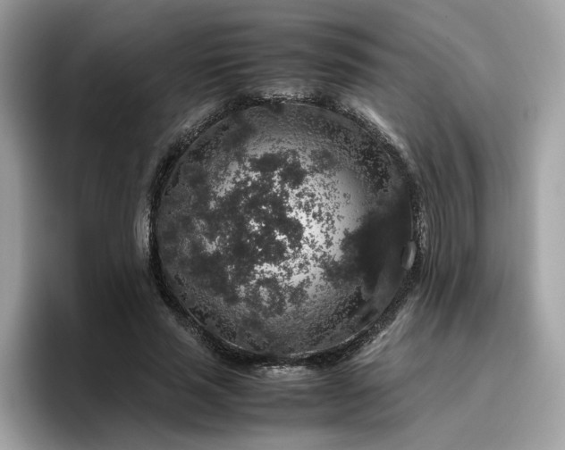 X0000095950637200801251131