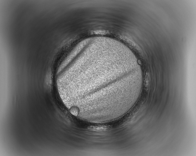 X0000095950639200801251131