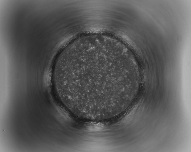 X0000095950640200801251131