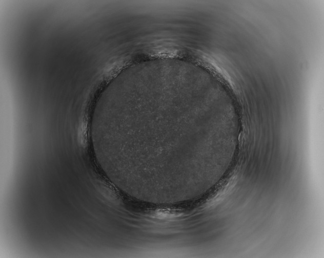 X0000095950641200801251131