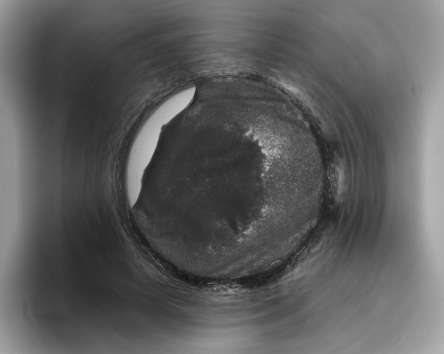 X0000095950642200801251131